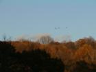Cold Spring Harbor
