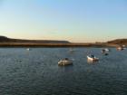 Cold Spring Harbor