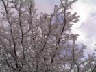 Ar121027440294207_l