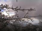 Lake Arrowhead