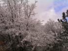 Ar121027924000664_l