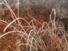 Lake Arrowhead