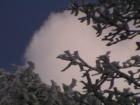 Ar121027961595725_l