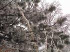 Ar121027966964895_l