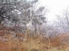 Lake Arrowhead