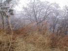 Lake Arrowhead