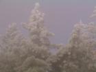 Lake Arrowhead