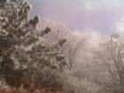 Ar1210279812922_l