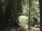 Yosemite CA