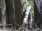 Yosemite CA