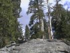 Yosemite CA