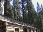 Yosemite CA