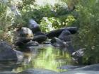Yosemite CA
