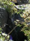 Yosemite CA