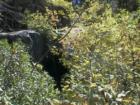 Yosemite CA
