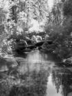 Yosemite CA