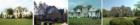 Ar121035779276058_l