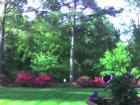 Ar121035799666238_l