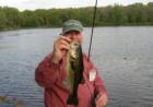 Largemouth Black Bass- Micropterus salmoides- From a Sparta Lake
      