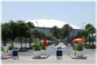 Tropicana Field - Home of the Tampa Bay Devil Rays - Downtown St Petersburg