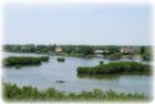 View of Harbor Isle from Weedon Island Preserve