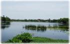 Crescent Lake in St Petersburg
