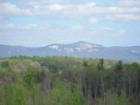 View in Dacusville