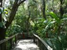 Stroll along the Boardwalk at Brevard Zoo