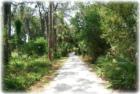 Boyd Hill Nature Preserve in St Petersburg.  245 acres of unspoiled land with three miles of trails and boardwalks.