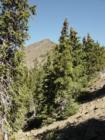 On the way to Humhpreys Peak