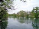 Finley River At Ozark Missouri