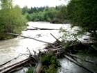 Dungeness River in Sequim