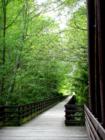 Railroad Bridge Park in Sequim