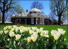 <a href="http://www.charlottesville-area-real-estate.com">Charlottesville real estate</a>