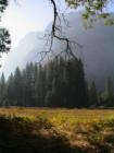Yosemite California