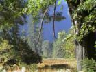 Yosemite California