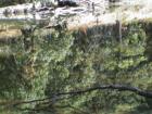 Ar121133513708043_l