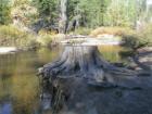 Mammoth Lakes