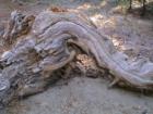 Mammoth Lakes