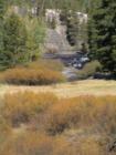 Mammoth Lakes