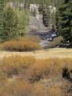 Mammoth Lakes