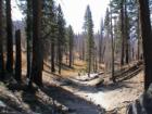 Mammoth Lakes