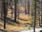 Mammoth Lakes