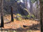 Mammoth Lakes