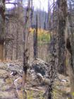 Mammoth Lakes