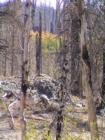 Mammoth Lakes