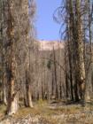 Mammoth Lakes
