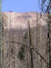 Mammoth Lakes