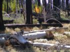 Mammoth Lakes