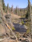 Mammoth Lakes